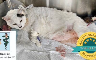 Pet Assistance Inc – Nonprofit