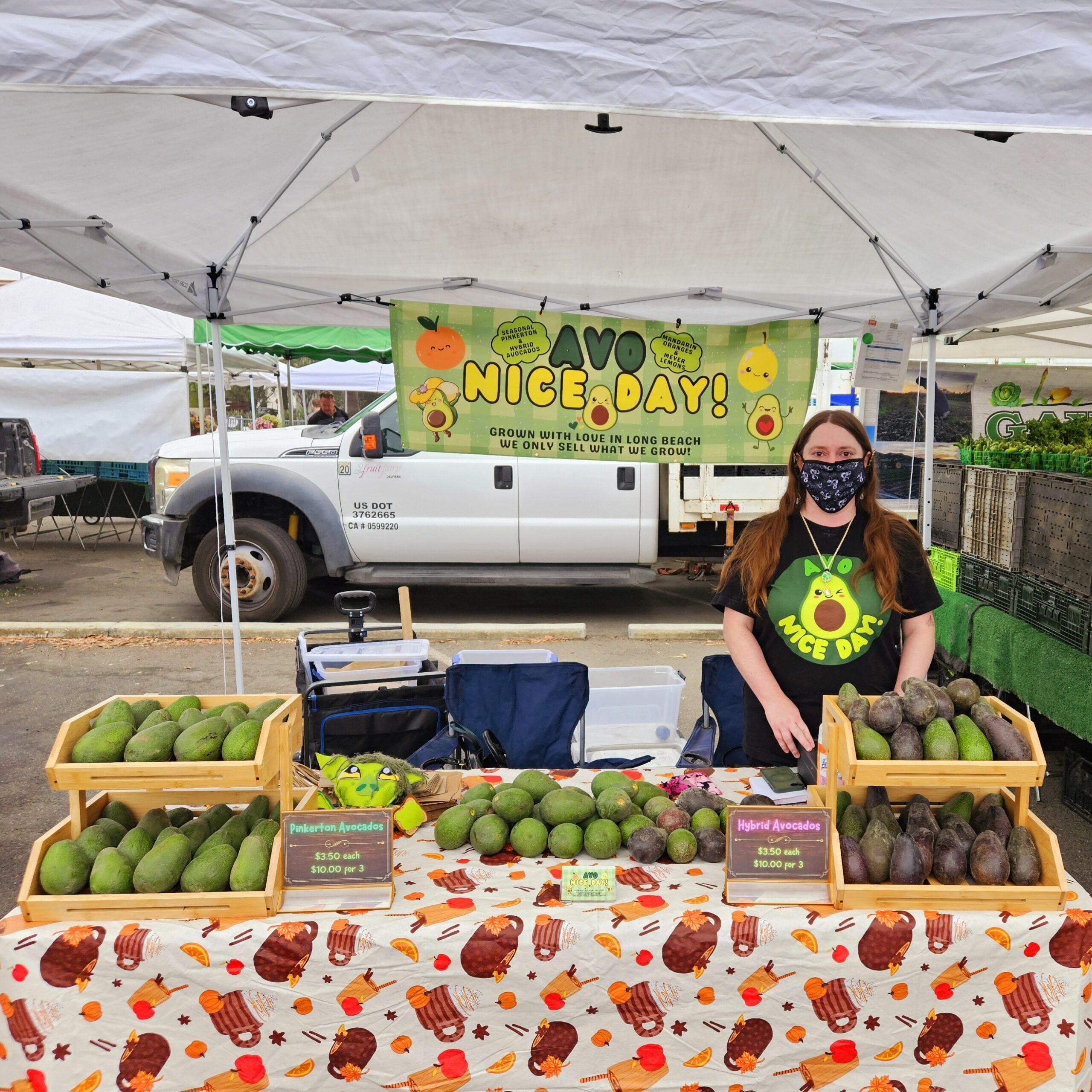 Avo Nice Day farmers market stall with fresh produce