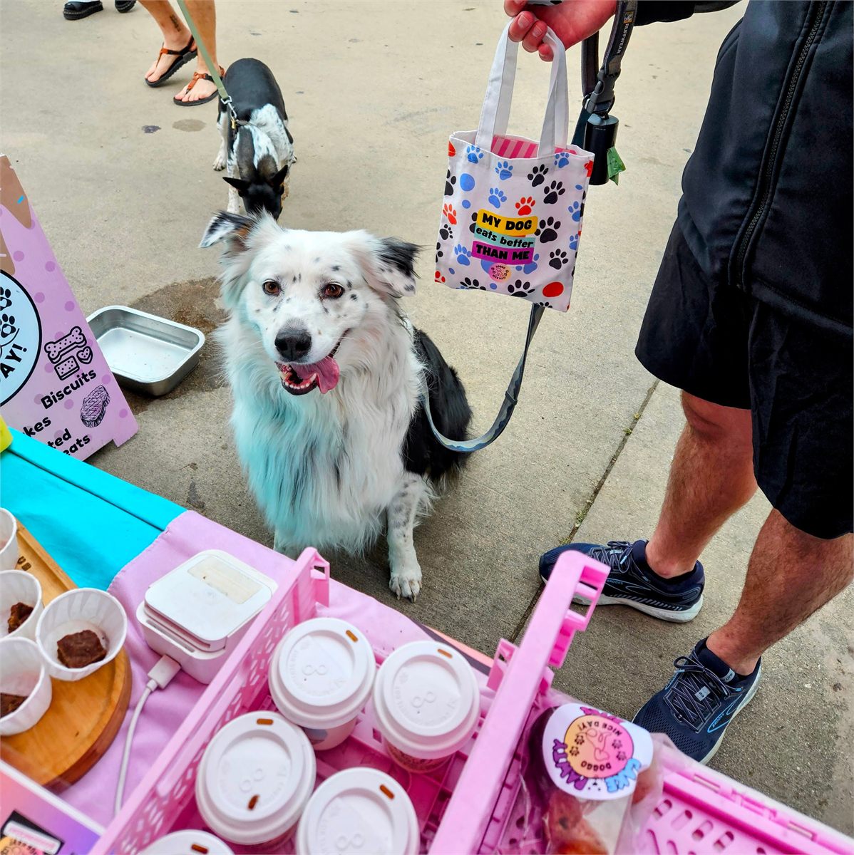 A happy dog customer visiting a colorful Doggo Nice Day market booth